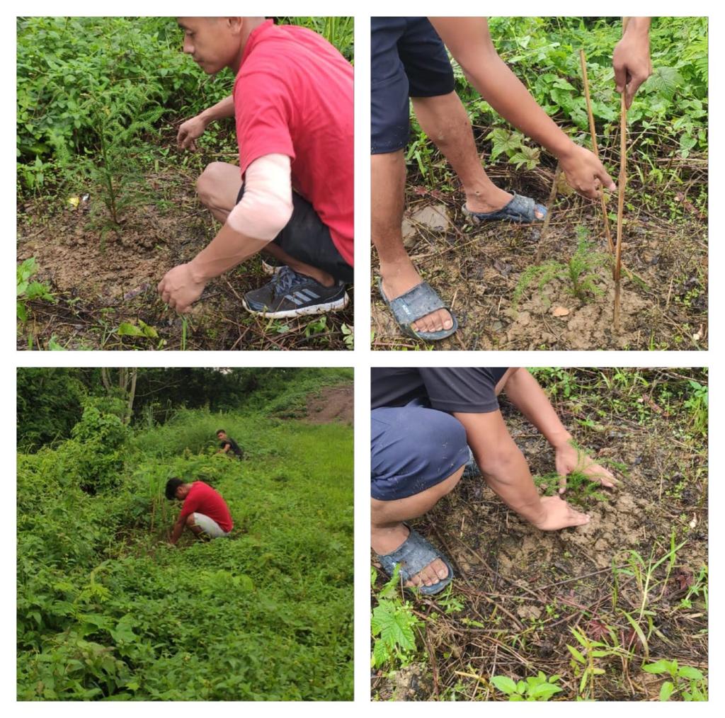 Plantation during world environment day 2022.