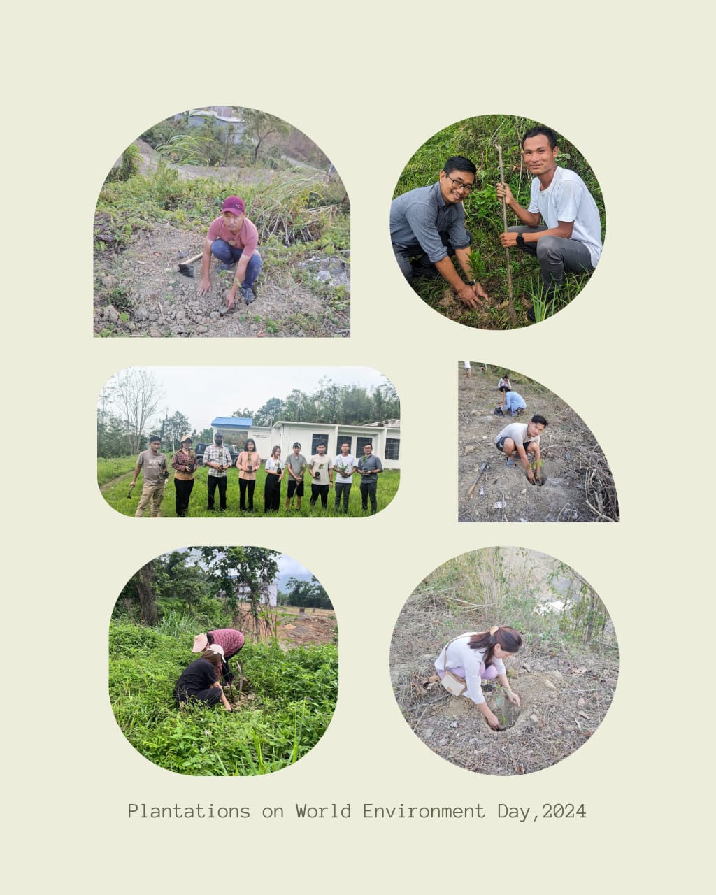 Plantations on World Environment Day, 2024